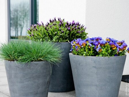 Betonlook plantenbak